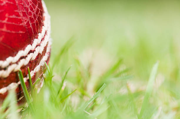 istock Cropped red leather cricket ball lying on grass pitch 184137100