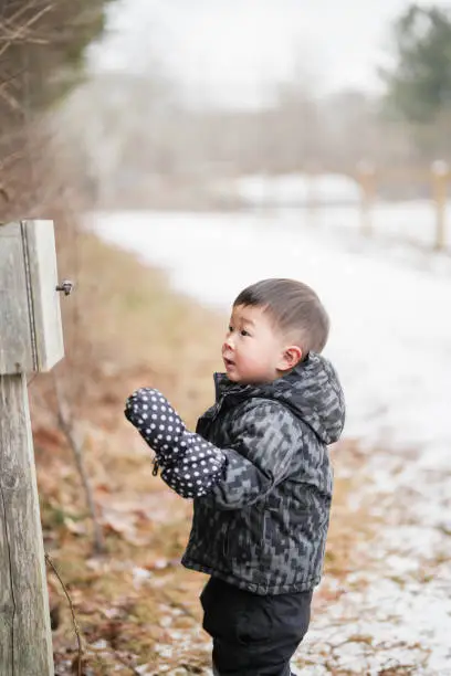 Photo of Little boy open a mailbox on a Snowy Day