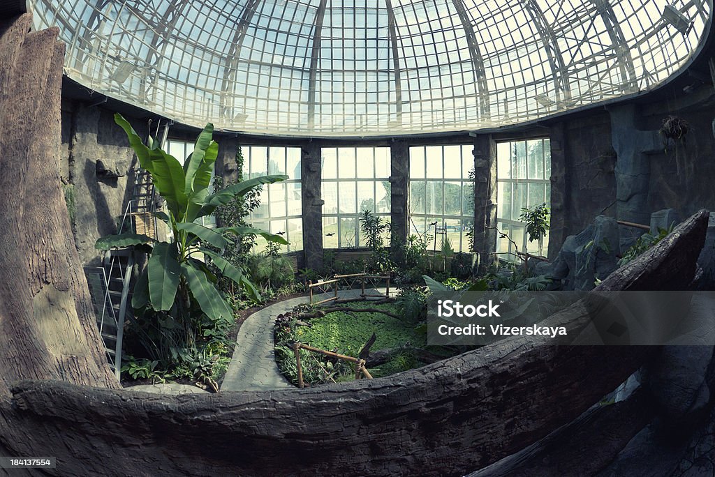 Giardino botanico Pavilion - Foto stock royalty-free di Ambientazione interna