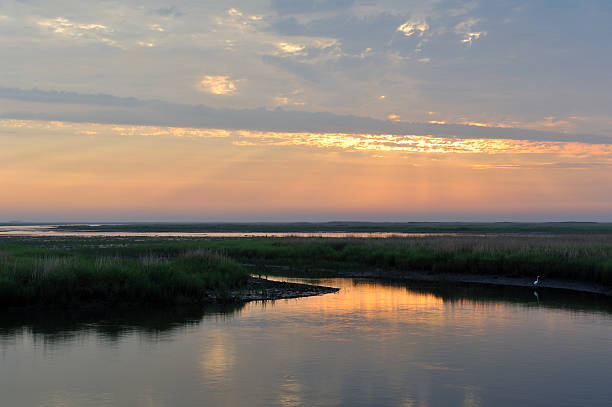 istock Bombay Hook National Wildlife Refuge 184137658