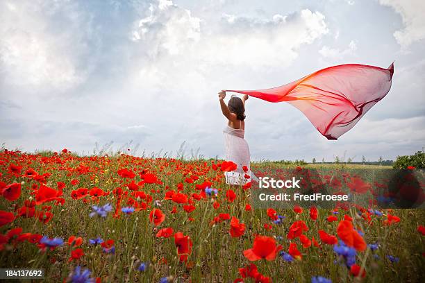 Woman With Red Scarf Stock Photo - Download Image Now - Headscarf, Wind, Flower