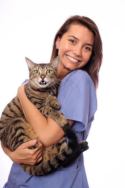 Veternarian (not really) holds her pet cat against a white background.  Shot with a Canon 7D and isolated on white.