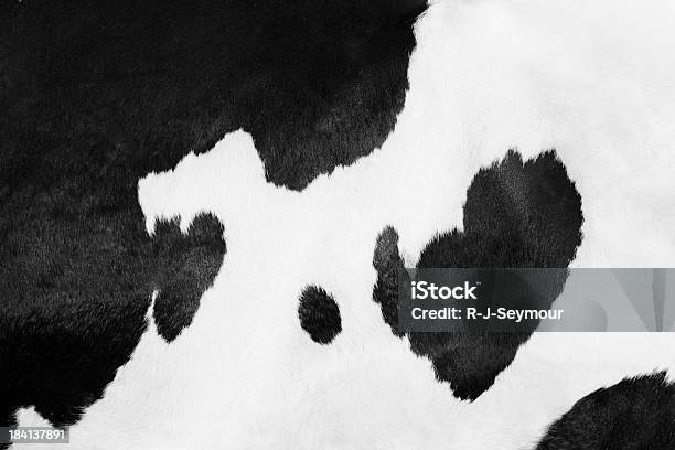 Cow Pattern Texture Stock Photo - Download Image Now - Cow, Animal Hair, Cowhide
