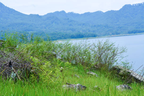 photo of a waterscape in a village in indonesia - falling glacier snow alp ストックフォトと画像