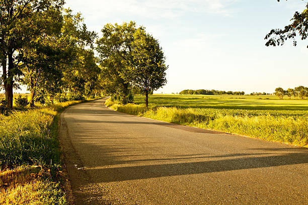 istock Road in Spring Landscape Poland 184138556