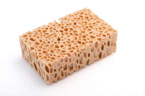 photographed rectangular sponge isolated on white with natural soft shadows.Related images:
