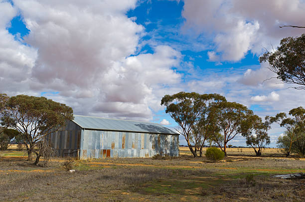 istock old shed in the wheatbelt area merredin 184138728