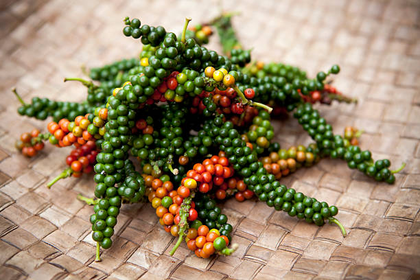 peppercorn