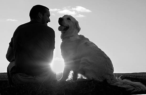 istock Man with dog at sunset 184138866