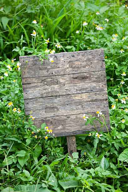 istock Old wooden sign board in a beautiful meadow. 184139266