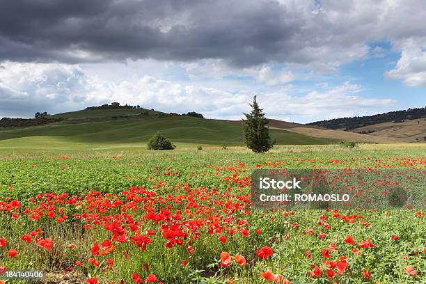 Cielo Dramático Y Meadow En Val Dorcia Toscana Italia Foto de stock y más banco de imágenes de Agricultura