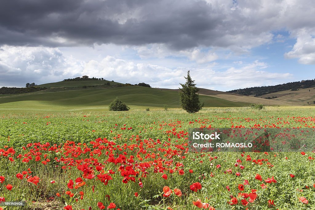 Cielo minaccioso e prato in Val d'Orcia, Toscana, Italia - Foto stock royalty-free di Agricoltura