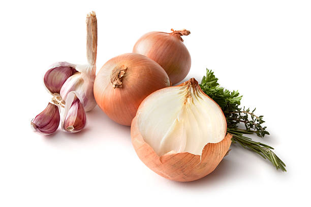 ingredienti: cipolla, aglio e rosmarino, timo e prezzemolo - aglio alliacee foto e immagini stock