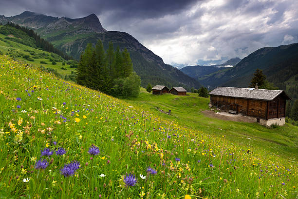 istock spring meadow with dramatic sky near steeg- tirol austria 184140513
