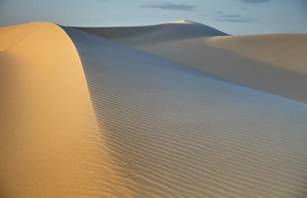 3,900+ Sand Dunes State Park Stock Photos, Pictures & Royalty-Free ...