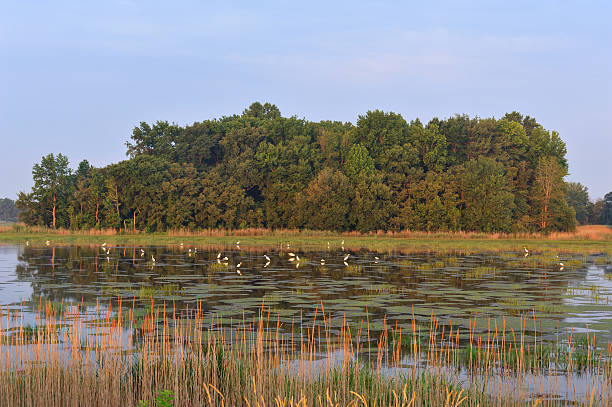 istock Bombay Hook National Wildlife Refuge 184141664