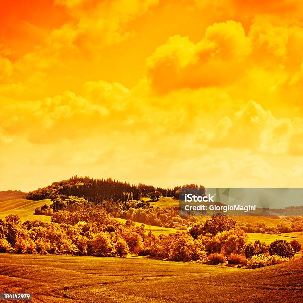 Tons Laranja Tuscan Paisagem Val Dorcia Património Mundial Da Unesco - Fotografias de stock e mais imagens de Ajardinado