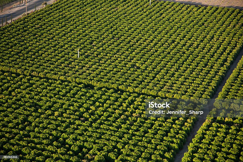 farm - Foto stock royalty-free di Ariel - Personaggio fantastico