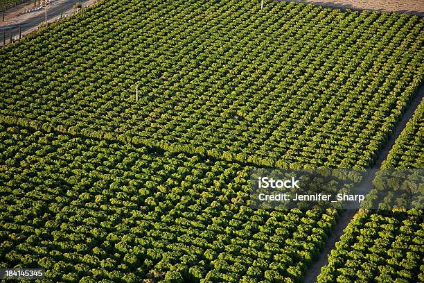 Farm - Fotografie stock e altre immagini di Ariel - Personaggio fantastico - Ariel - Personaggio fantastico, Raccolto, Agricoltura