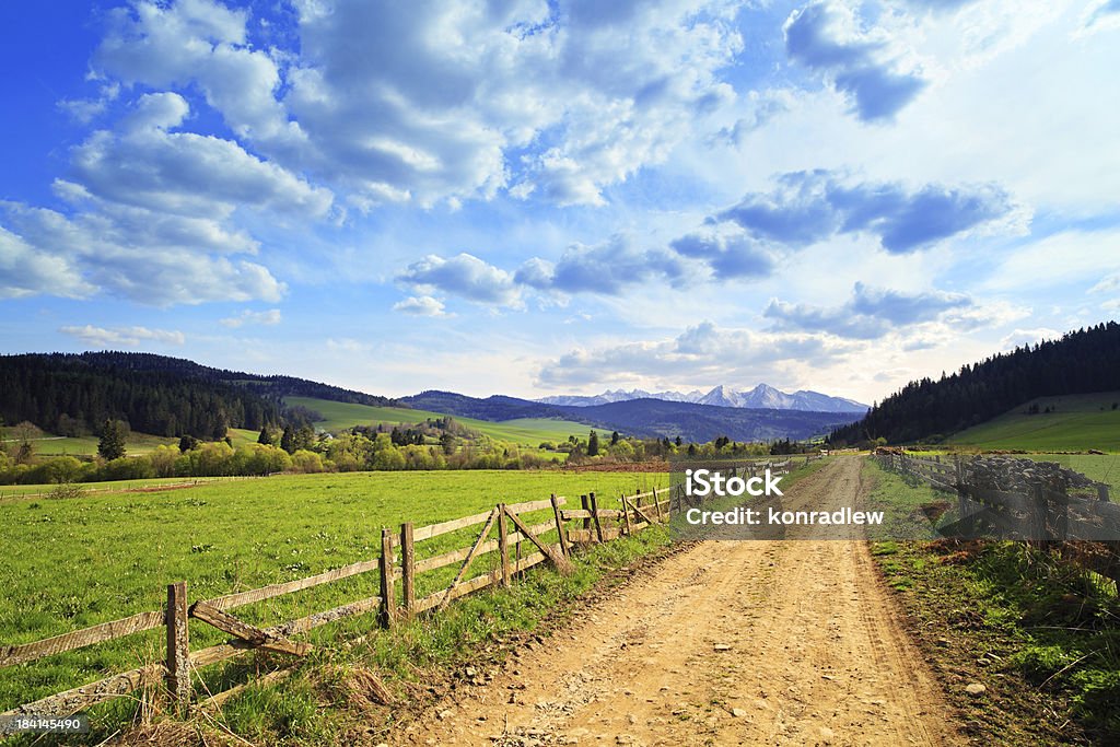 Country landscape - road between green fields  Farm Stock Photo