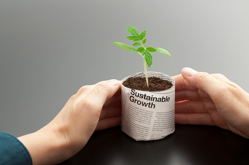 Seedling plant pot made from recycled newspaper, contains a young healthy plant. Ethical business, recycling, protecting your investment, protecting the environment.