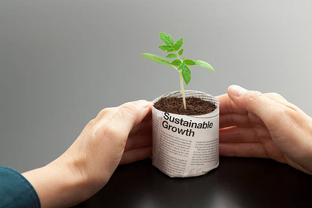 A young plant growing in a newspaper pot being held by hands stock photo