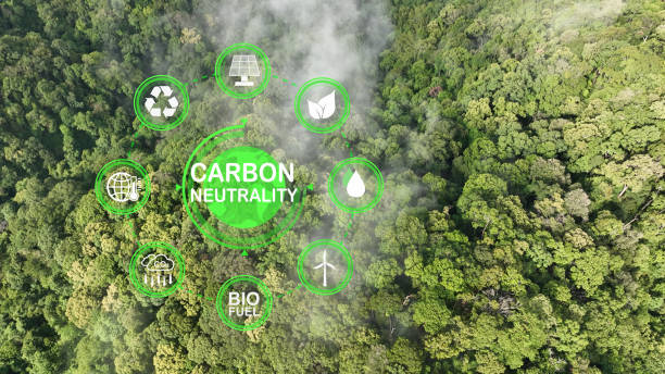 istock Carbon neutrality means having a balance between emitting carbon and absorbing carbon from the atmosphere. 1841457044