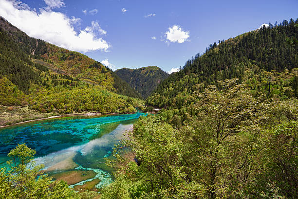 cinco flores lago en jiuzhaigou, sichuan, china - jiuzhaigou national park jiuzhaigou national park unesco world heritage site fotografías e imágenes de stock