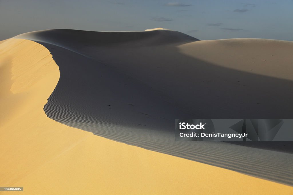Dunas de areia varridas pelo vento - Foto de stock de Parque Estadual de Monahans Sandhills royalty-free