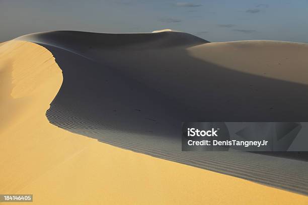 Foto de Dunas De Areia Varridas Pelo Vento e mais fotos de stock de Parque Estadual de Monahans Sandhills - Parque Estadual de Monahans Sandhills, Texas, Beleza natural - Natureza