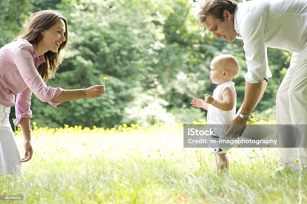 Happy young family teaching baby to walk Portrait of a happy young family teaching baby to walk in the park Baby - Human Age Stock Photo