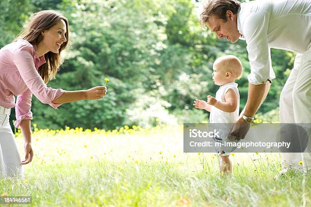 Happy Young Family Teaching Baby To Walk Stock Photo - Download Image Now - Baby - Human Age, Mother, First Steps