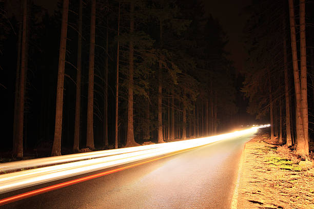 istock Road through the forest by night - light trails 184147104