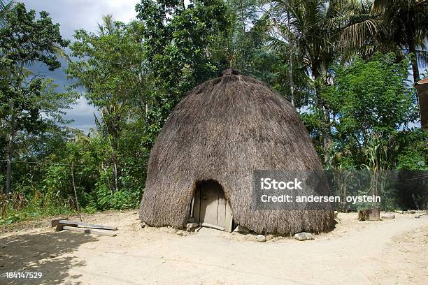 Photo libre de droit de Maison Traditionnelle Des Pense banque d'images et plus d'images libres de droit de Timor Oriental - Timor Oriental, Papouasie-Nouvelle-Guinée, Arbre