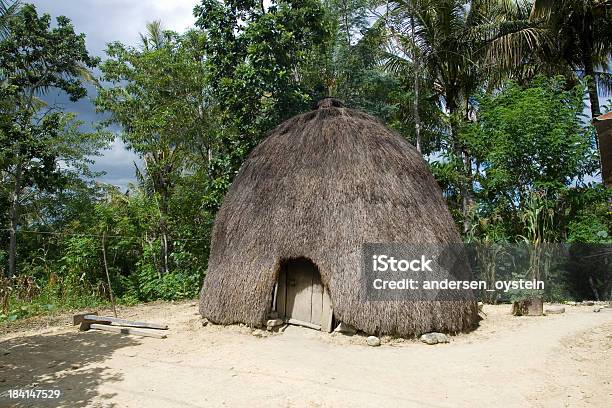 Tradycyjny Dom Z Timorese Osób - zdjęcia stockowe i więcej obrazów Timor Wschodni - Timor Wschodni, Papua-Nowa Gwinea, Architektura