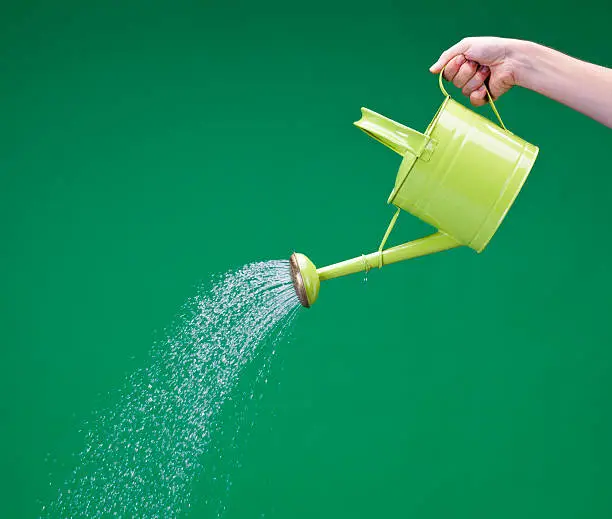Watering can on green background