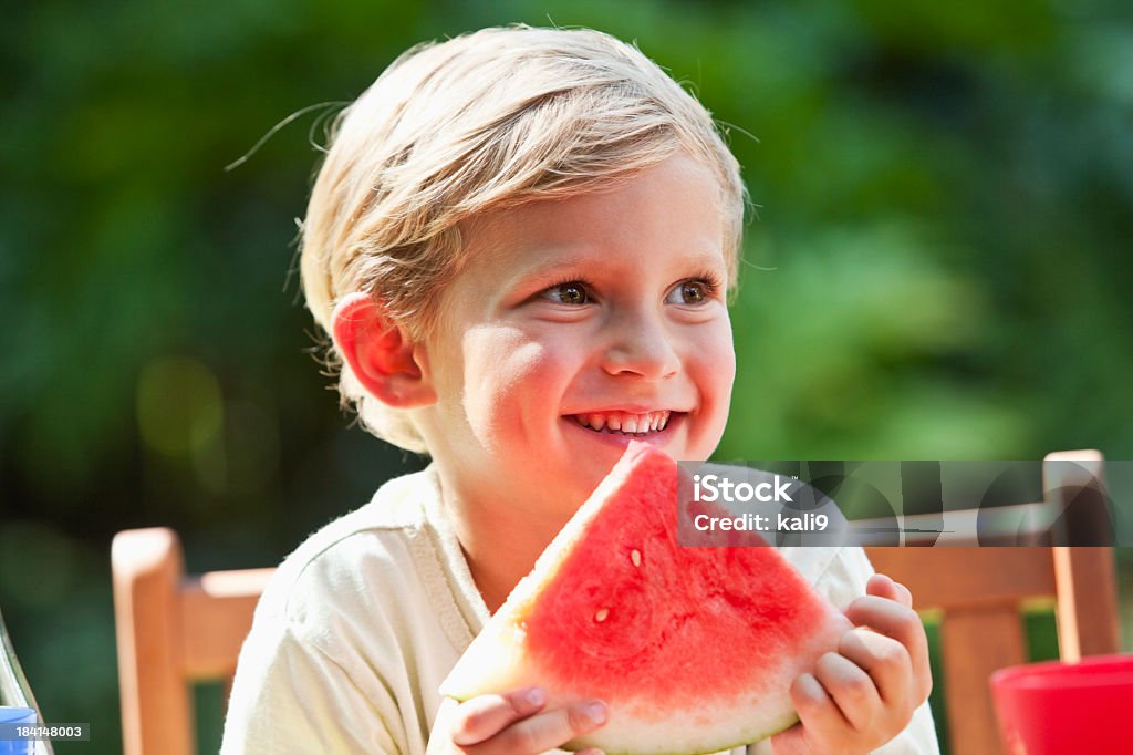 Little boy en un picnic - Foto de stock de 4-5 años libre de derechos