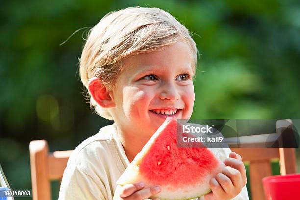 Little Boy En Un Picnic Foto de stock y más banco de imágenes de 4-5 años - 4-5 años, Alegre, Alimento