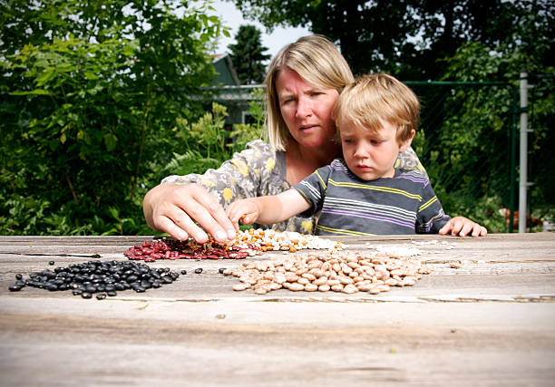 A photo of a mother and son sorting dried beans out in the vegetable garden on a summer's afternoon.Please browse my: