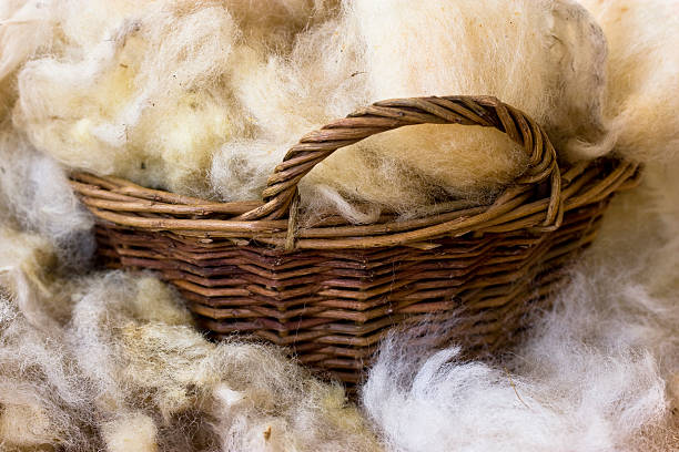 Raw new wool stock photo
