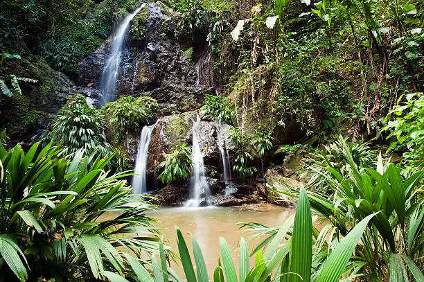 A multi-tiered waterfall surrounded by lush green foliage captured in the Caribbean