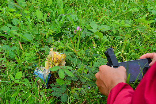 A female photographer taking a small object using a macro lens and a smartphone