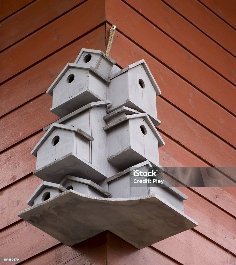 Птица дома - Стоковые фото Архитектура роялти-фри