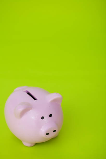istock Piggy Bank 184151015
