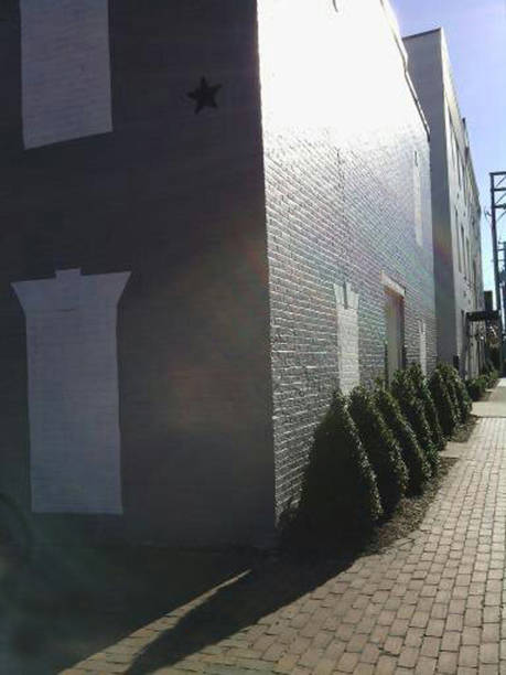 istock Five bushes on Union Street 1841511173