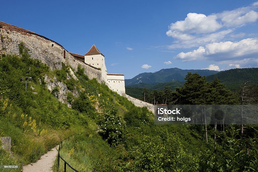 Corner Tower of Rasnov Castle, Romania Corner Tower of Rasnov Castle, Romania with pine forest and mountains in the distance Brasov Stock Photo