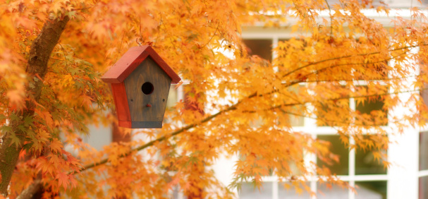Colorful wooden birdhouses on old logs For decorating the garden to look bright and lively.