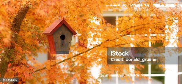 Autumn Birdhouse Stock Photo - Download Image Now - Autumn, Birdhouse, Japanese Maple