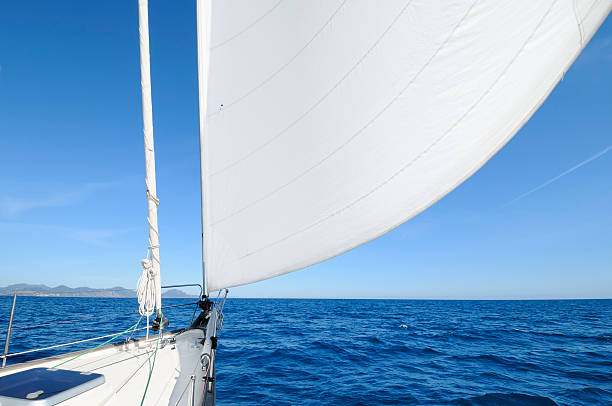 istock Sailing towards the horizon 184152994
