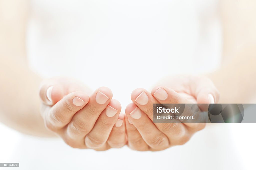 Female Hands on White two female hands holding something. Copyspace for your product or design. Protection Stock Photo